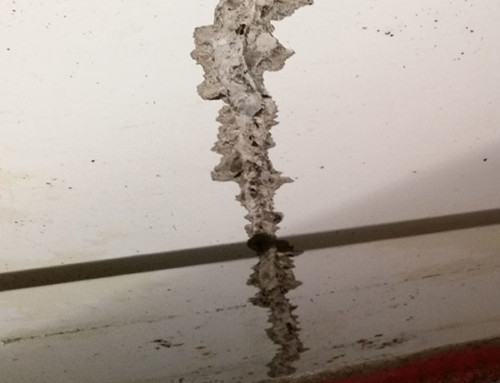 Concrete Ceiling Crack Repair